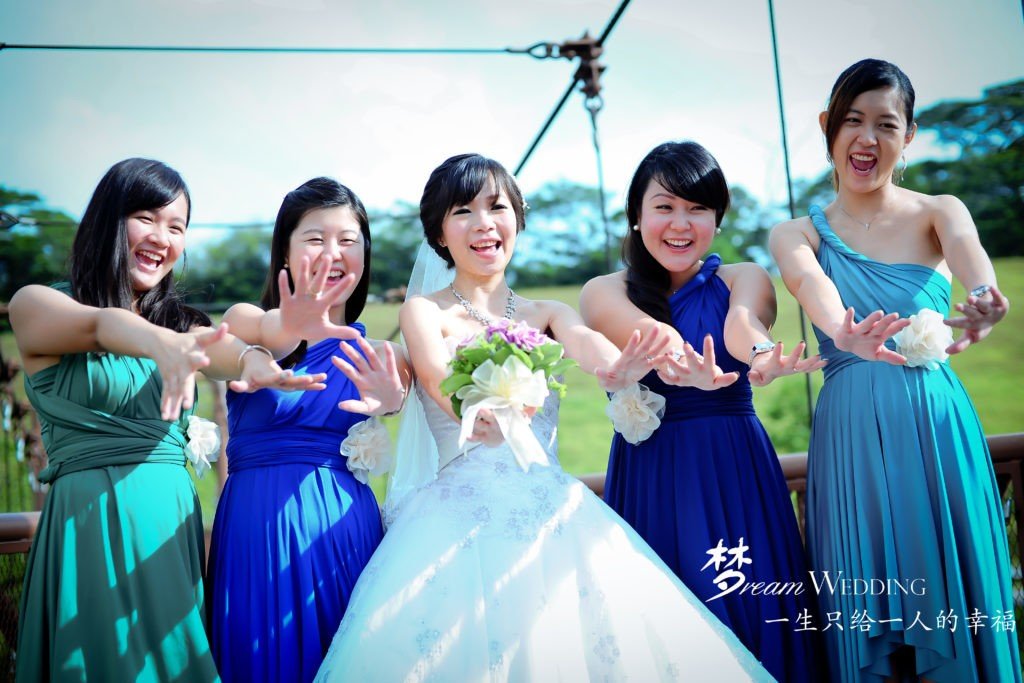 Bridesmaid Dresses Dream Wedding Bridesmaid Dresses Usually Is One Of The Most Worrying Factor For All Brides To Be During Their Wedding Planning Process As They Will Not Sure If